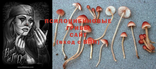 jwh Горнозаводск