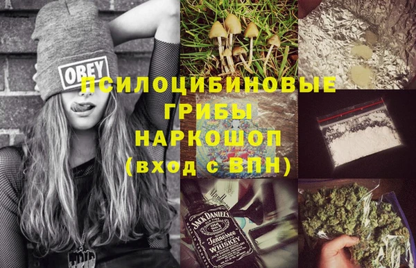 а пвп мука Горняк