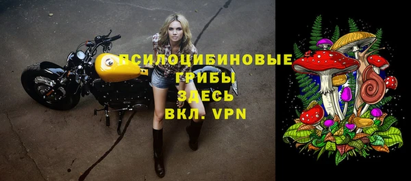 мескалин Михайлов