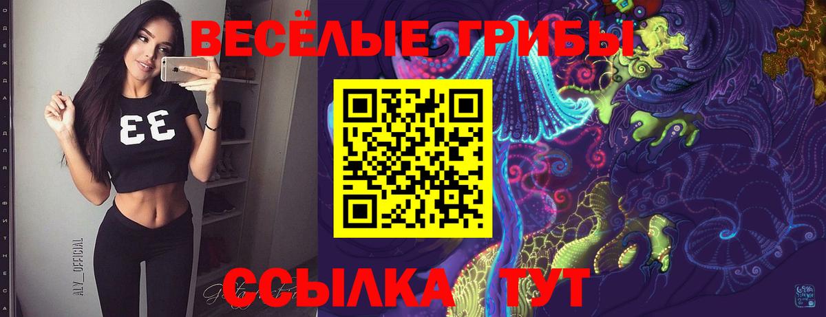 Псилоцибиновые грибы GOLDEN TEACHER Волгоград