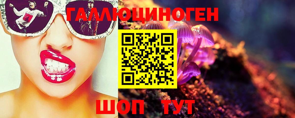 Галлюциногенные грибы GOLDEN TEACHER  Галлюциногенные грибы прущие грибы  Волгоград  Вход с VPN 